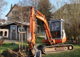 Die Winterlinde steht kerzengerade, die Arbeit ist fast erledigt.