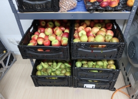 So viel feines Obst durften wir entgegen nehmen, danke.